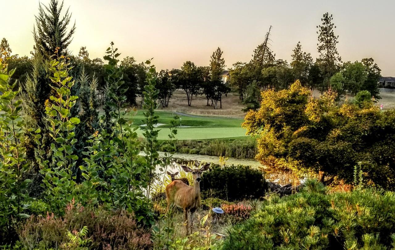 Resort At Eagle Point Golf Club Lodging Ngoại thất bức ảnh